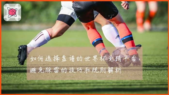 如何选择靠谱的世界杯竞猜平台，避免踩雷的技巧和规则解析