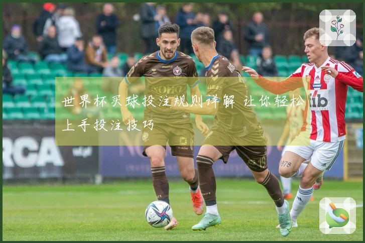 世界杯买球投注规则详解 让你轻松上手投注技巧