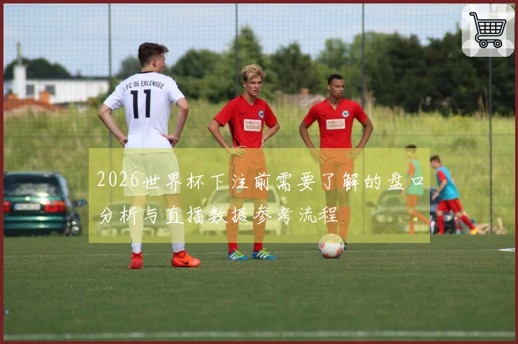 2026世界杯下注前需要了解的盘口分析与直播数据参考流程