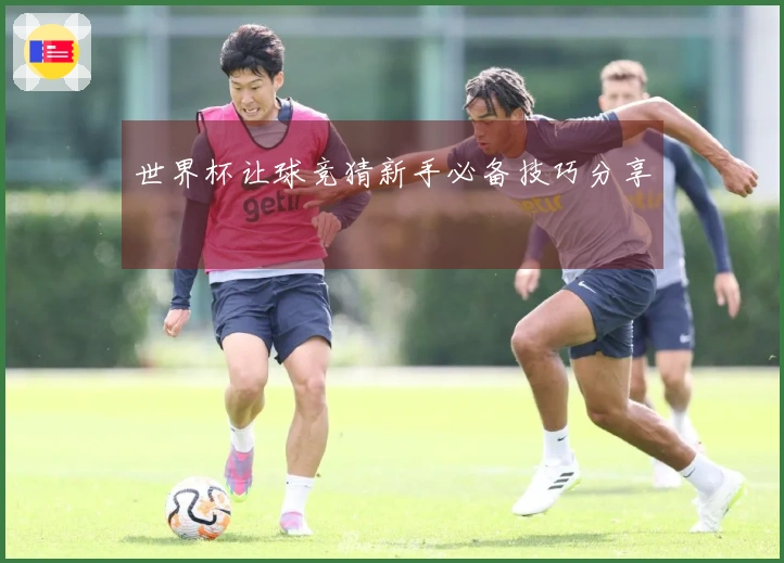 世界杯让球竞猜新手必备技巧分享