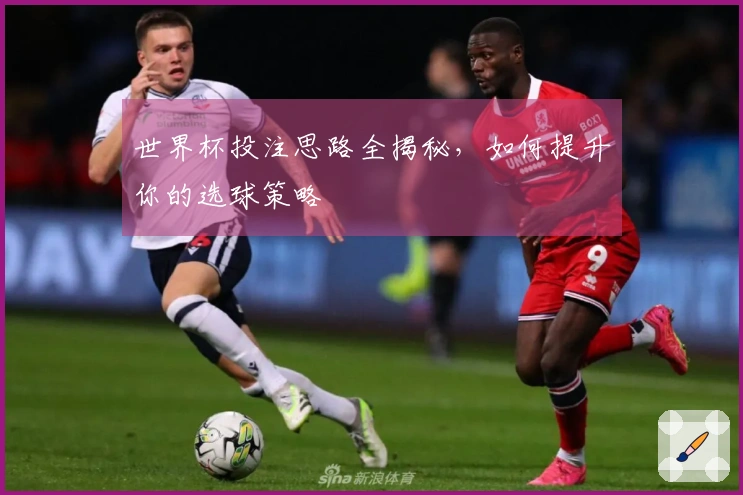 世界杯投注思路全揭秘,如何提升你的选球策略