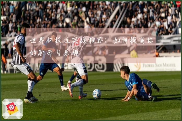 世界杯投注实战推荐：如何提高你的胜率与乐趣