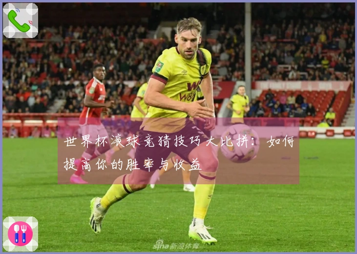 世界杯滚球竞猜技巧大比拼：如何提高你的胜率与收益