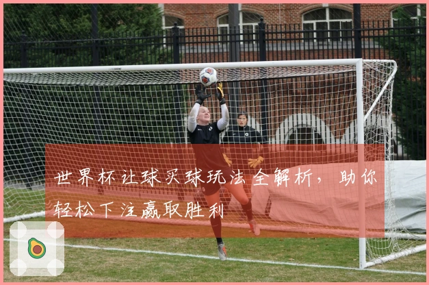 世界杯让球买球玩法全解析，助你轻松下注赢取胜利