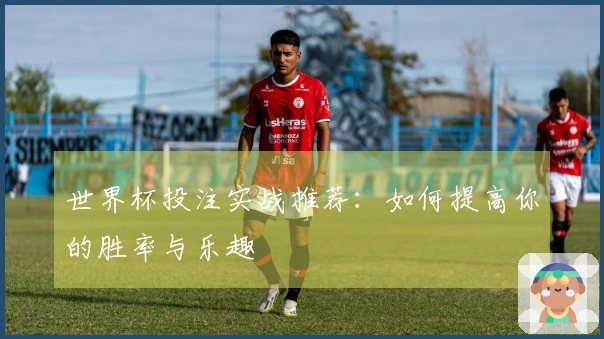 世界杯投注实战推荐：如何提高你的胜率与乐趣