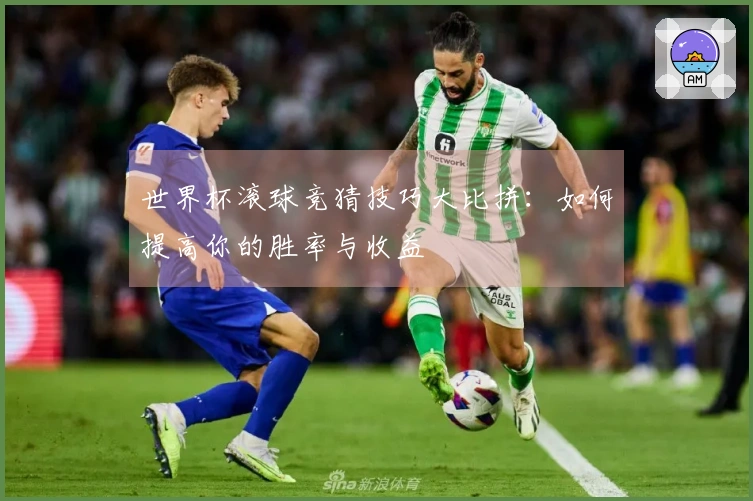 世界杯滚球竞猜技巧大比拼：如何提高你的胜率与收益